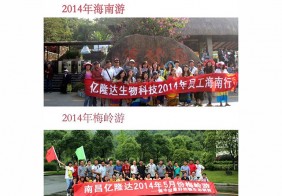 家庭文化