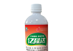 賽鴿王