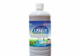 菌之神